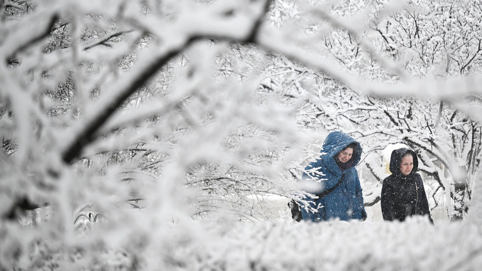 В Томской области выпал снег
