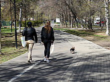 В Москве ожидаются облачная погода и небольшой дождь