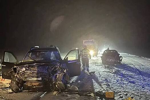 Двое погибли, трое ранены в серьезном ДТП на трассе в регионе РФ