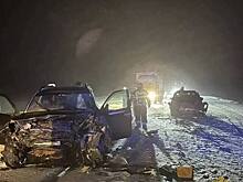 Двое погибли, трое ранены в серьезном ДТП на трассе в регионе РФ