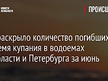 МЧС раскрыло количество погибших во время купания в водоемах Ленобласти и Петербурга за июнь