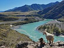 Названы победители фотоконкурса межрегионального экомарафона