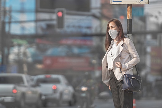 Штрафы за загрязнение воздуха мало повлияют на его качество