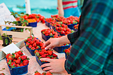 Как выбрать самые сочные и вкусные ягоды