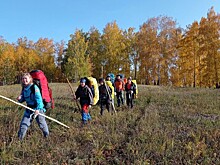 Выжить без навигатора в дремучем лесу