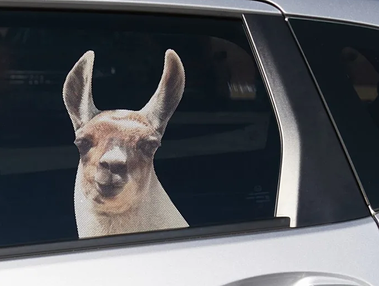 Наклейка в виде ламы, смотрящей из окна автомобиля.