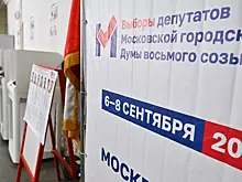 За ночь онлайн проголосовали около 150 тысяч москвичей