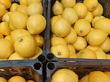 Эксперт предупредила об опасности цитрусовых