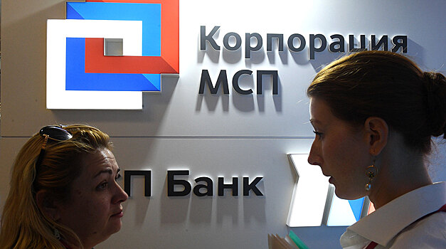 Счетная палата заявила о неэффективности Корпорации МСП