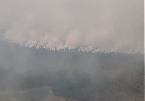 Площадь лесного пожара в Нижегородской области выросла до 2 890 га