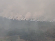 Площадь лесного пожара в Нижегородской области выросла до 2 890 га