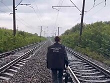 В Кировской области грузовой поезд насмерть сбил 21-летнего парня