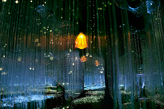 Эйфория: арт-пространство с процессом самопознания