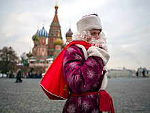 Ну, здравствуй, Жучка. С Новым годом!