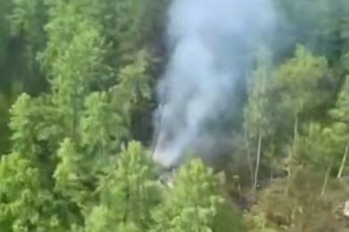 Самолет Ан-24, разбившийся в Приамурье, загорелся при падении