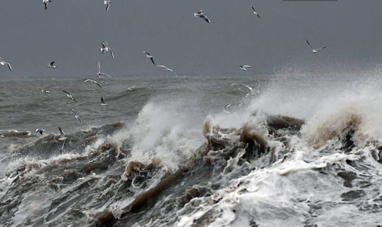Рассвирепевший тайфун гонит нашу. Шторм на Ладожском озере. Шторм на озере. Сильный шторм на Ладоге. Волны на Ладожском озере.