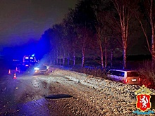 "Поздно заметил машину". В ГИБДД рассказали подробности смертельной аварии под Екатеринбургом