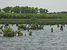 Сальдо сообщил об экологической катастрофе из-за разрушения Каховской ГЭС