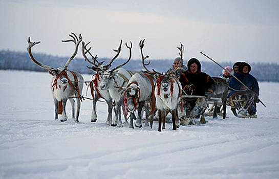 Мамонтенок Люба, неделя в тундре и северное сияние: арктический туризм на Ямале