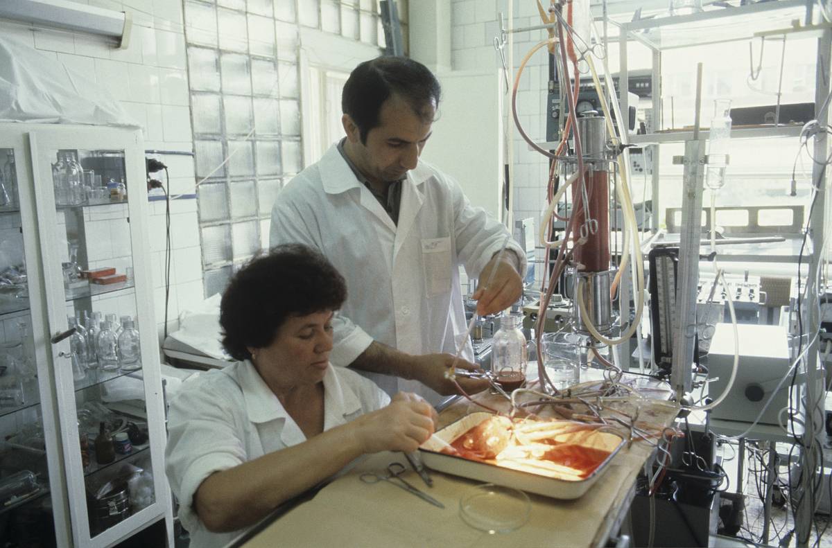 Раскрыта роль разведки в борьбе с чумой ХХ века в СССР