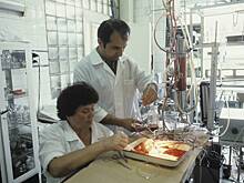 Раскрыта роль разведки в борьбе с «чумой ХХ века» в СССР