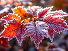 Синоптики рассказали о погоде на понедельник