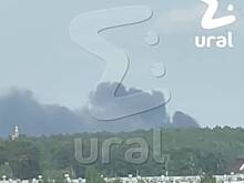 Пожар на мусорном полигоне в российском регионе попал на видео