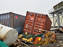 На глазах у всего мира: к ситуации в Северо-Курильске приковано внимание