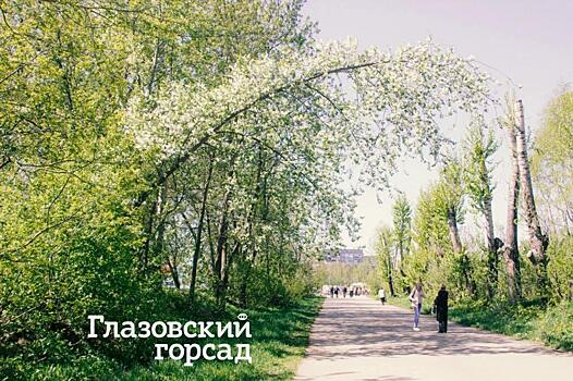 Более 400 млн рублей направят на благоустройство парков в Удмуртии