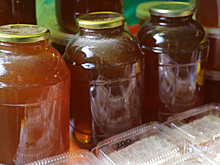 «Натурпродукт» – осенняя ярмарка прошла в Северном