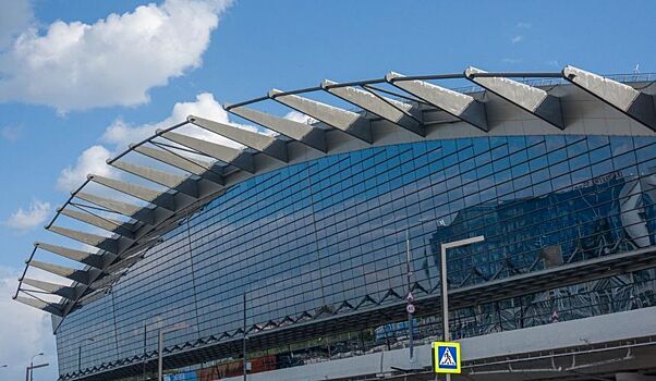 Самолет из Турции снова прилетел в Москву без багажа туристов