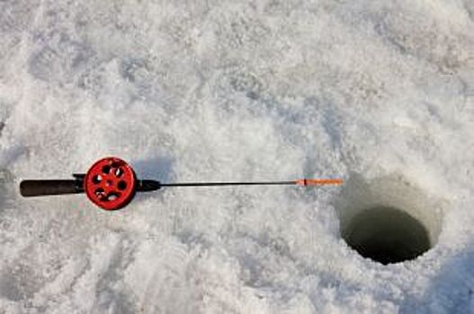 Ловись рыбка. Каковы перспективы развития рыбного промысла в Алтайском крае