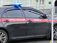 Директор магазина задушил вора-алкоголика в Подмосковье