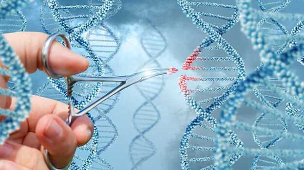 Талассемию будут лечить генной терапией