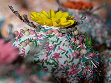 В преддверии Пасхи омичам рассказали, как выбрать творог и сколько хранить яйца