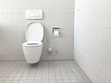 Венеролог развеяла миф, что ЗППП можно подхватить в общественном туалете