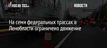 Почти 2 тыс. км квартальных просек расчистят в лесах Подмосковья до конца года