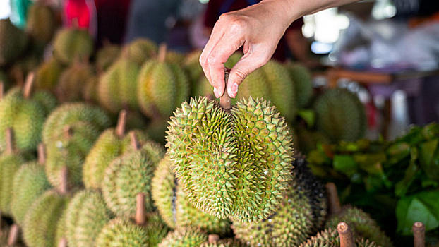 Малайзия намерена развивать торговые отношения с Ираном