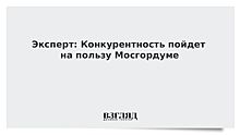 Эксперт: Конкурентность пойдет на пользу Мосгордуме