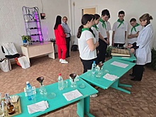 В омской школе открылся агрокласс