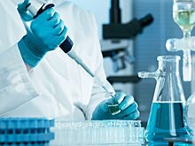 Томичи, голландцы и сирийские хомячки объединились в борьбе с описторхозом