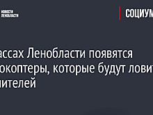 На трассах Ленобласти появятся квадрокоптеры, которые будут ловить нарушителей
