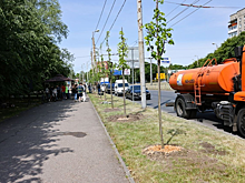 Власти Калининграда из-за засухи усилили полив растительности в городских парках