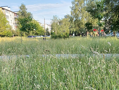 Нижегородский депутат призвал жителей самим косить траву на детской площадке