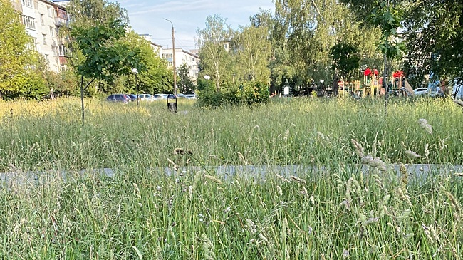 Нижегородский депутат призвал жителей самим косить траву на детской площадке