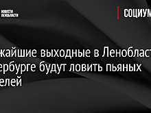 В ближайшие выходные в Ленобласти и Петербурге будут ловить пьяных водителей