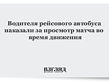 Водителя рейсового автобуса наказали за просмотр матча во время движения