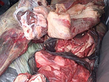 Трое жителей Майнского района напали на бизнесмена с молотком и отобрали 140 кг мяса