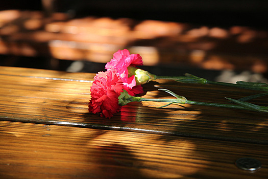 В российском городе умерла мать 18 детей