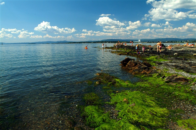 Осло, Норвегия, Европа